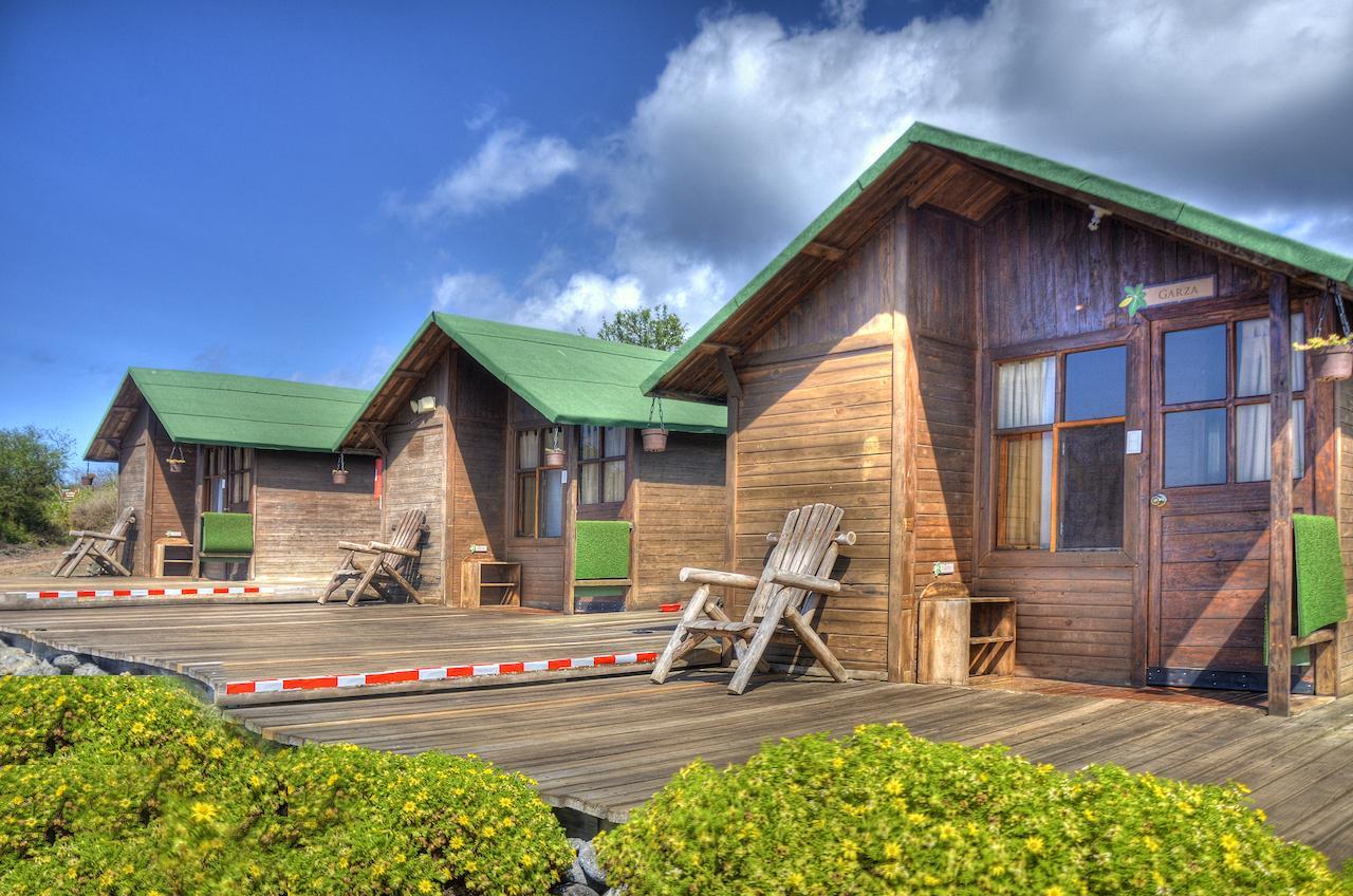 Floreana Lava Lodge Пуэрто-Веласко-Ибарра Номер фото