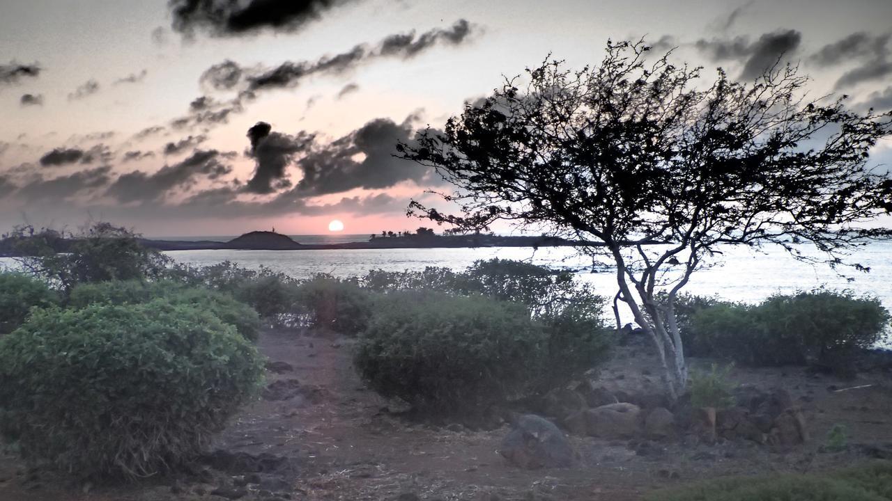 Floreana Lava Lodge Пуэрто-Веласко-Ибарра Экстерьер фото